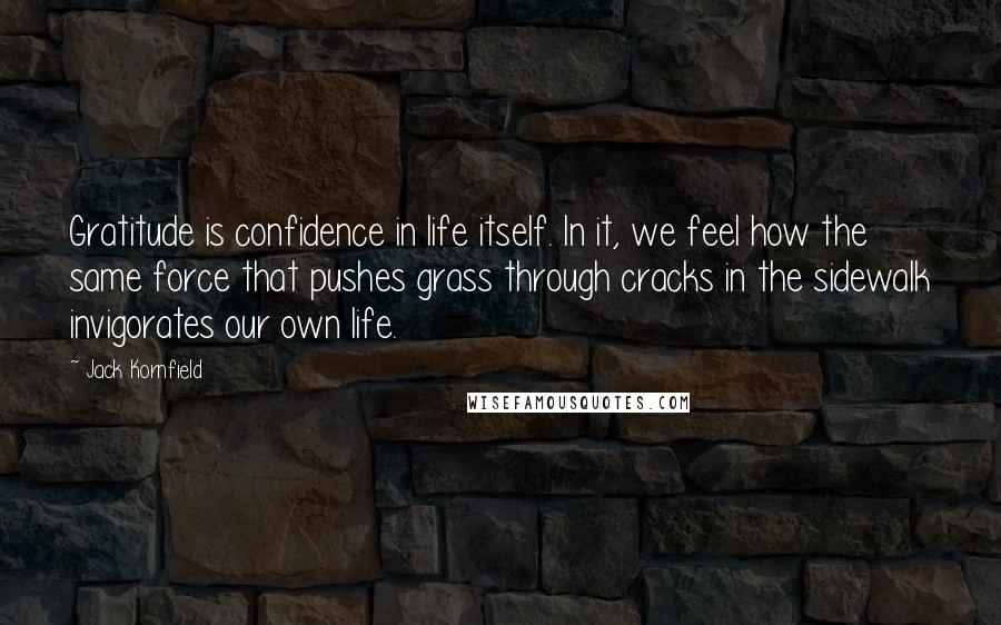 Jack Kornfield Quotes: Gratitude is confidence in life itself. In it, we feel how the same force that pushes grass through cracks in the sidewalk invigorates our own life.