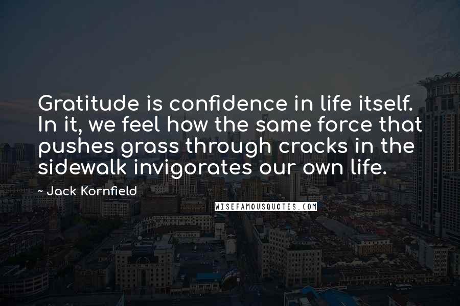 Jack Kornfield Quotes: Gratitude is confidence in life itself. In it, we feel how the same force that pushes grass through cracks in the sidewalk invigorates our own life.