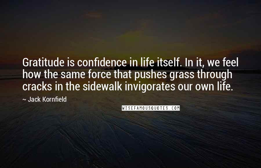 Jack Kornfield Quotes: Gratitude is confidence in life itself. In it, we feel how the same force that pushes grass through cracks in the sidewalk invigorates our own life.