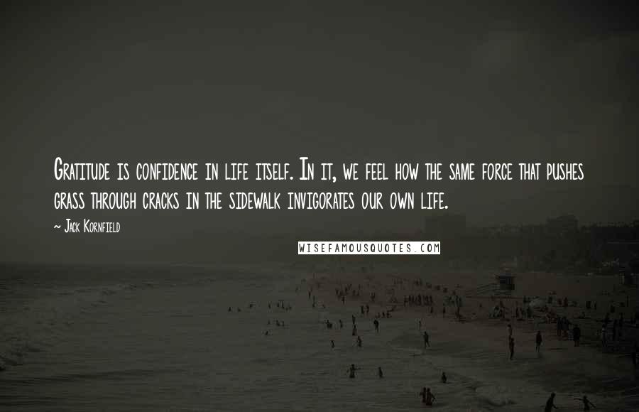 Jack Kornfield Quotes: Gratitude is confidence in life itself. In it, we feel how the same force that pushes grass through cracks in the sidewalk invigorates our own life.