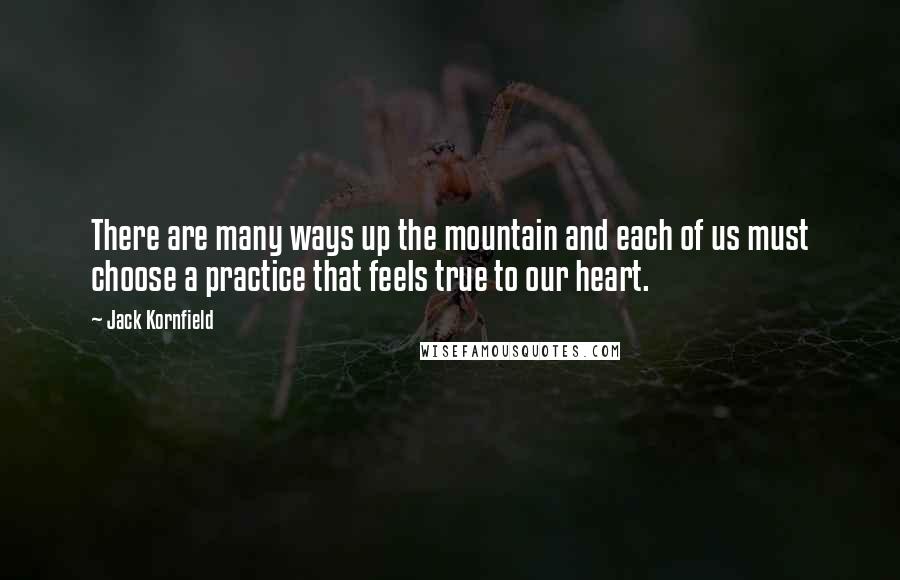 Jack Kornfield Quotes: There are many ways up the mountain and each of us must choose a practice that feels true to our heart.