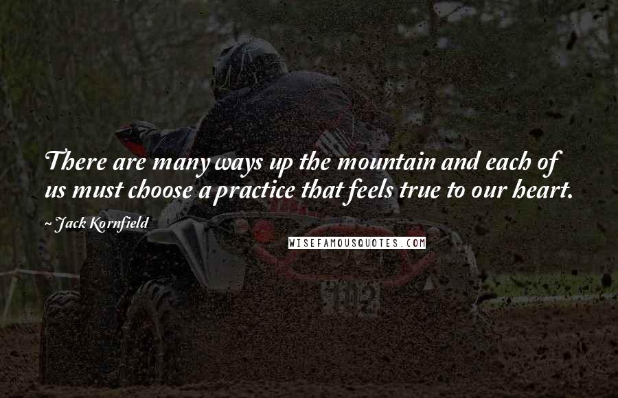 Jack Kornfield Quotes: There are many ways up the mountain and each of us must choose a practice that feels true to our heart.