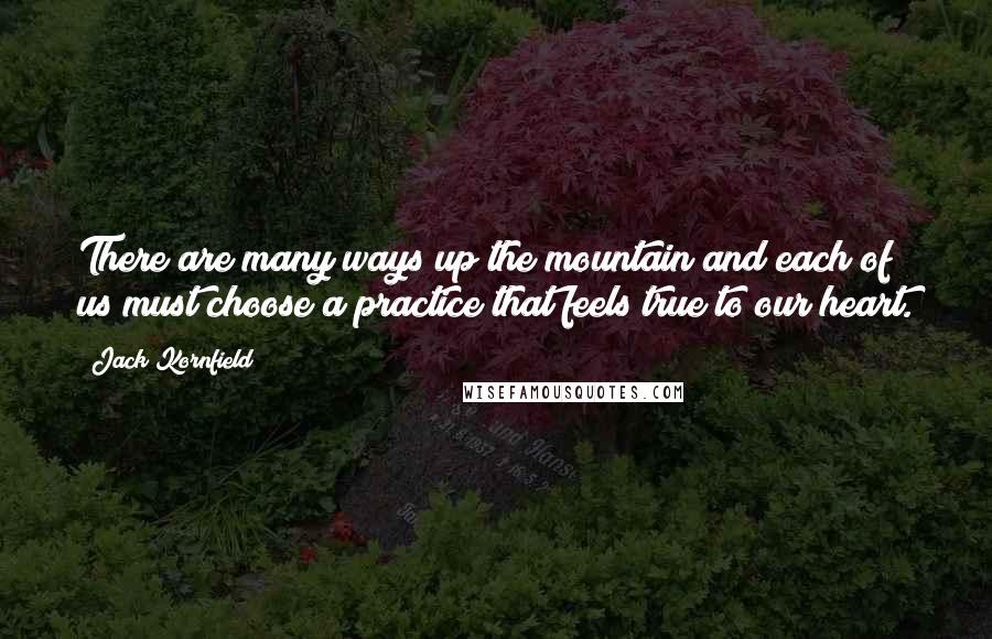 Jack Kornfield Quotes: There are many ways up the mountain and each of us must choose a practice that feels true to our heart.