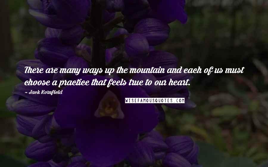 Jack Kornfield Quotes: There are many ways up the mountain and each of us must choose a practice that feels true to our heart.