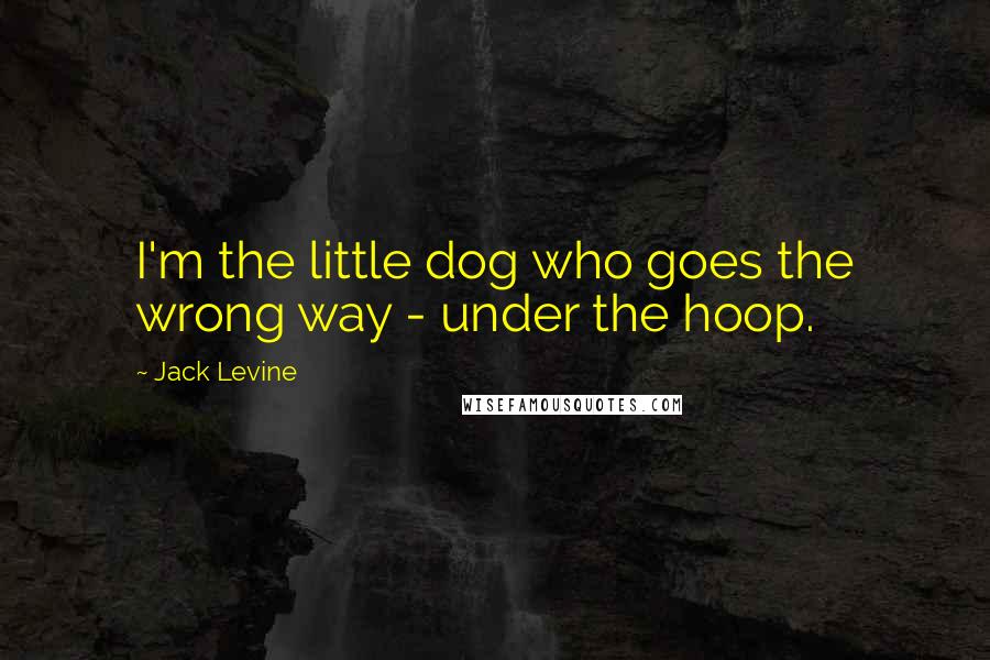 Jack Levine Quotes: I'm the little dog who goes the wrong way - under the hoop.