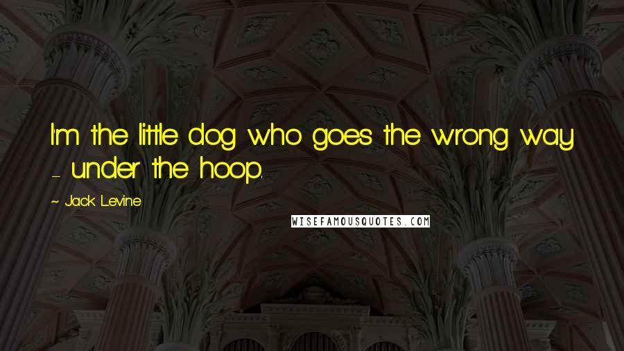 Jack Levine Quotes: I'm the little dog who goes the wrong way - under the hoop.