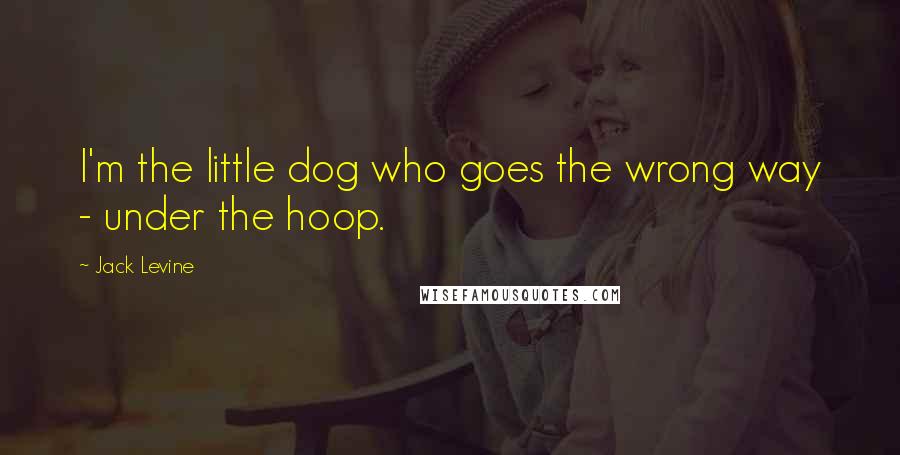Jack Levine Quotes: I'm the little dog who goes the wrong way - under the hoop.