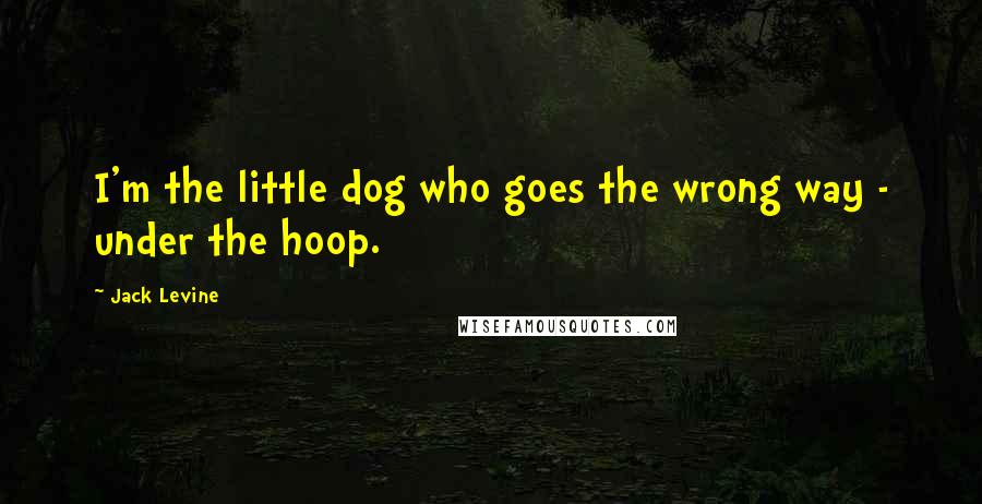 Jack Levine Quotes: I'm the little dog who goes the wrong way - under the hoop.