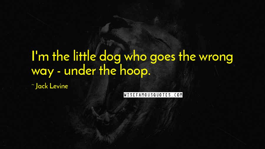 Jack Levine Quotes: I'm the little dog who goes the wrong way - under the hoop.