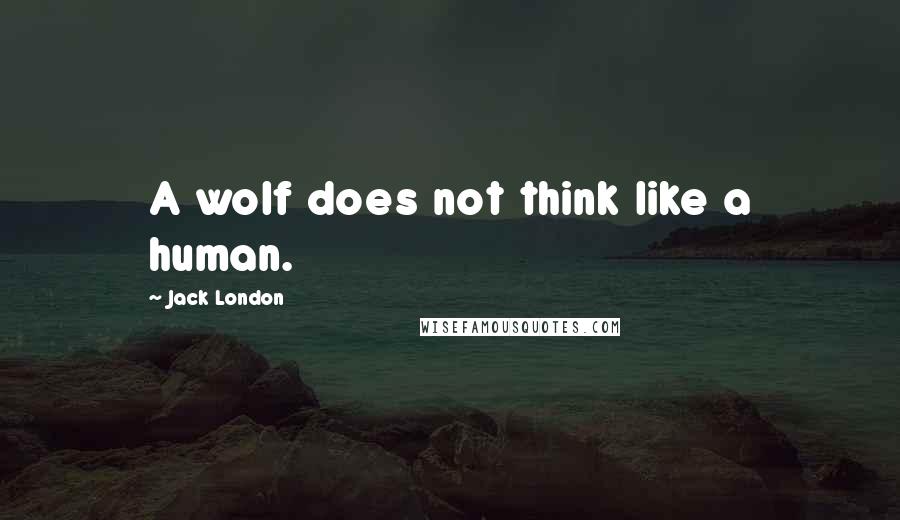 Jack London Quotes: A wolf does not think like a human.