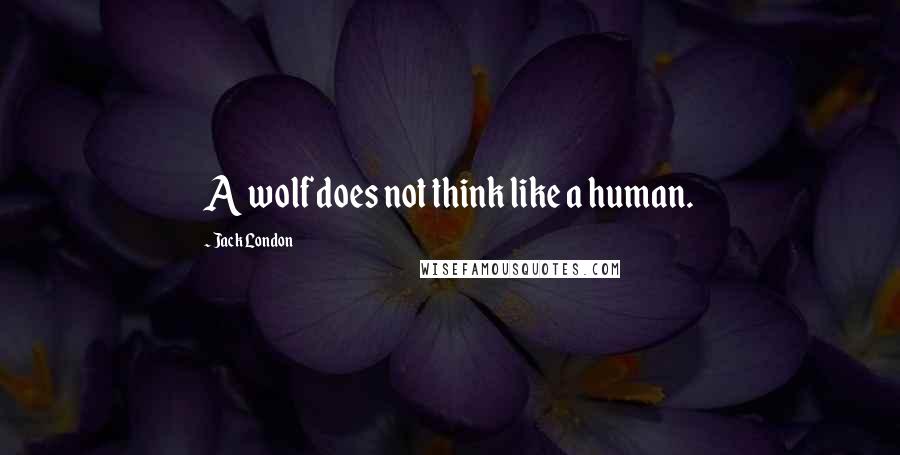 Jack London Quotes: A wolf does not think like a human.