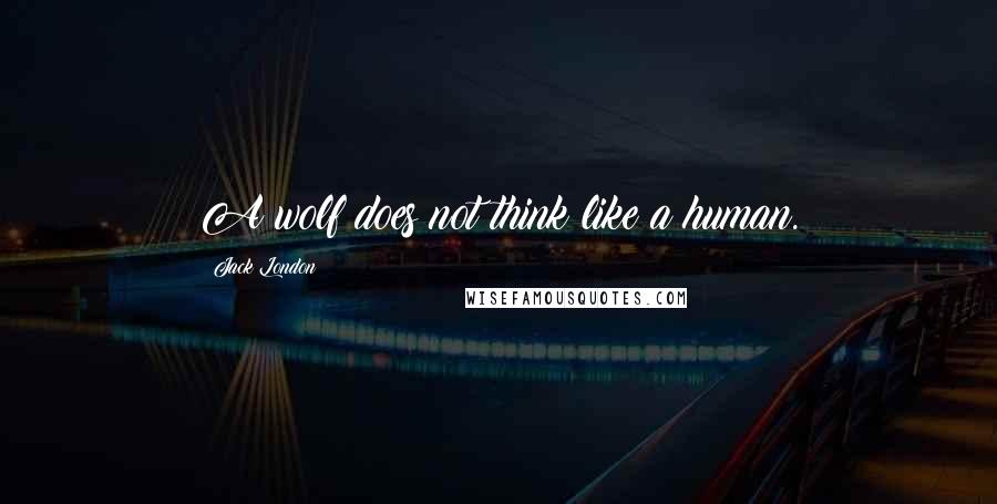 Jack London Quotes: A wolf does not think like a human.