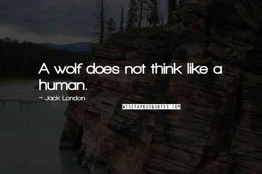 Jack London Quotes: A wolf does not think like a human.