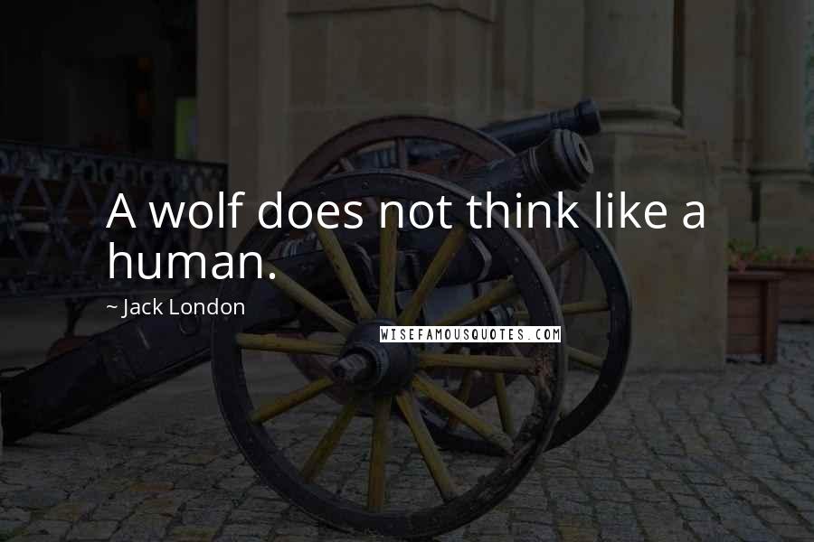 Jack London Quotes: A wolf does not think like a human.