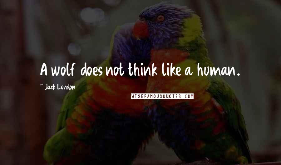 Jack London Quotes: A wolf does not think like a human.