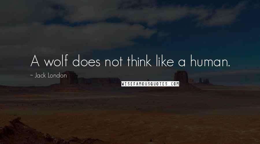 Jack London Quotes: A wolf does not think like a human.