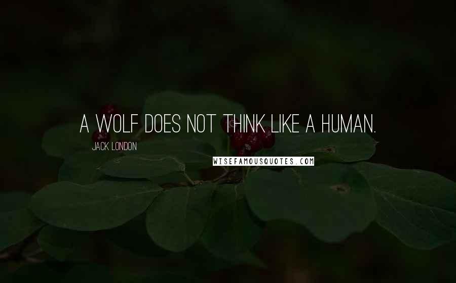 Jack London Quotes: A wolf does not think like a human.