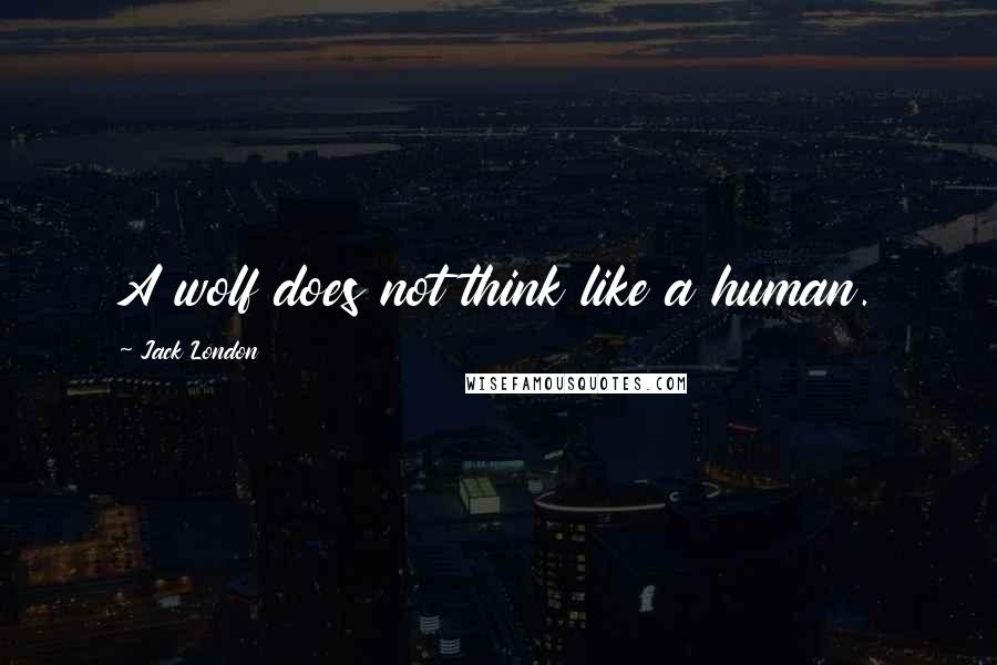 Jack London Quotes: A wolf does not think like a human.
