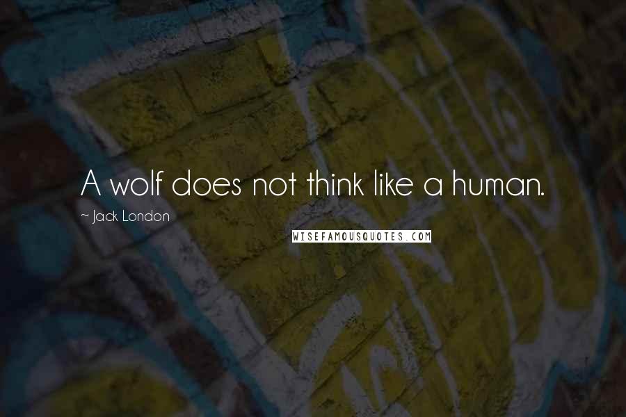 Jack London Quotes: A wolf does not think like a human.