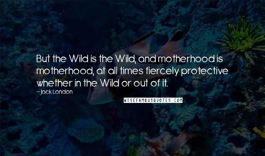 Jack London Quotes: But the Wild is the Wild, and motherhood is motherhood, at all times fiercely protective whether in the Wild or out of it.