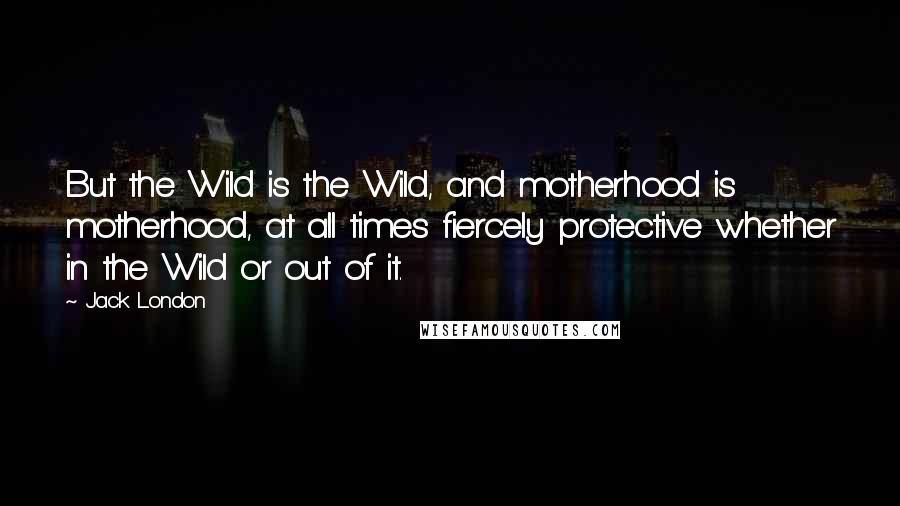 Jack London Quotes: But the Wild is the Wild, and motherhood is motherhood, at all times fiercely protective whether in the Wild or out of it.