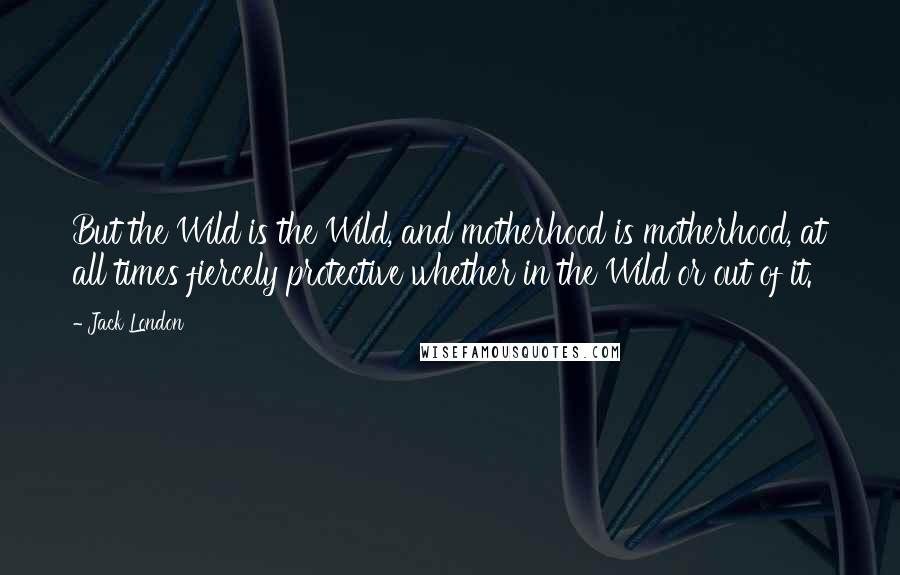 Jack London Quotes: But the Wild is the Wild, and motherhood is motherhood, at all times fiercely protective whether in the Wild or out of it.