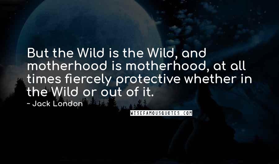 Jack London Quotes: But the Wild is the Wild, and motherhood is motherhood, at all times fiercely protective whether in the Wild or out of it.
