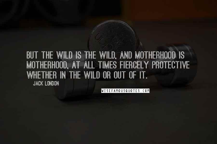 Jack London Quotes: But the Wild is the Wild, and motherhood is motherhood, at all times fiercely protective whether in the Wild or out of it.