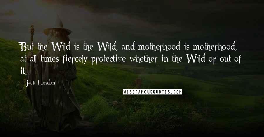Jack London Quotes: But the Wild is the Wild, and motherhood is motherhood, at all times fiercely protective whether in the Wild or out of it.