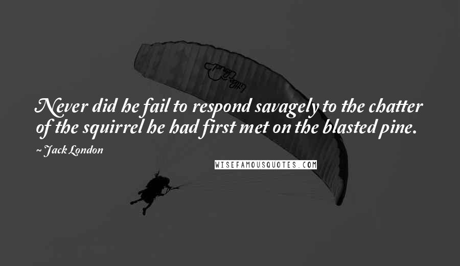 Jack London Quotes: Never did he fail to respond savagely to the chatter of the squirrel he had first met on the blasted pine.