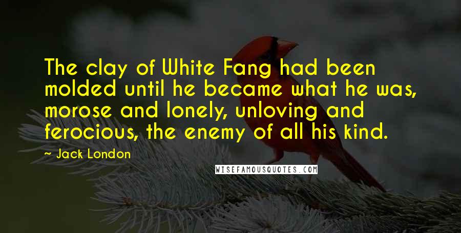 Jack London Quotes: The clay of White Fang had been molded until he became what he was, morose and lonely, unloving and ferocious, the enemy of all his kind.