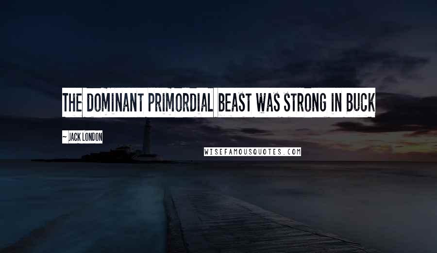 Jack London Quotes: The dominant primordial beast was strong in Buck