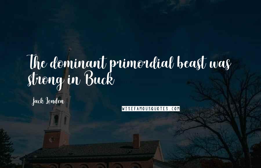 Jack London Quotes: The dominant primordial beast was strong in Buck