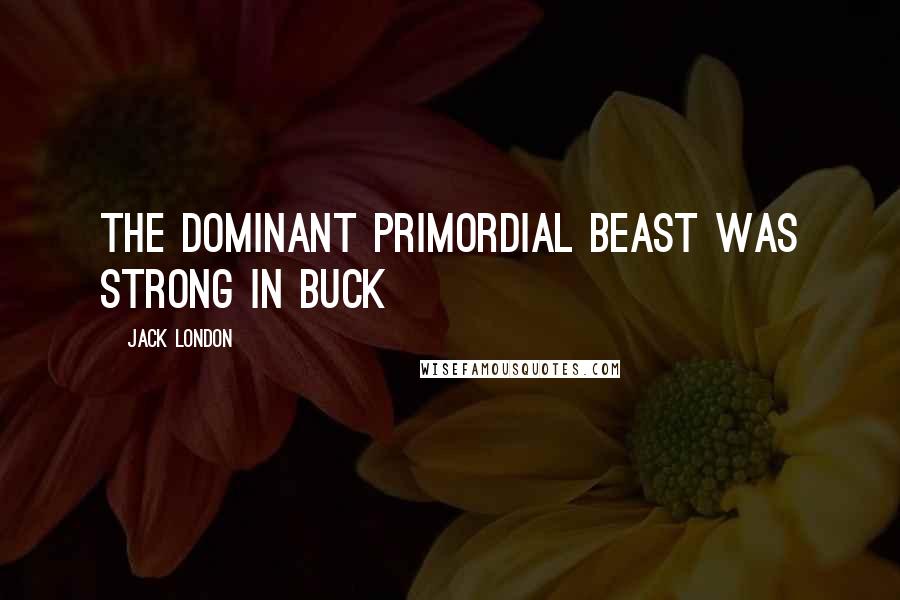 Jack London Quotes: The dominant primordial beast was strong in Buck