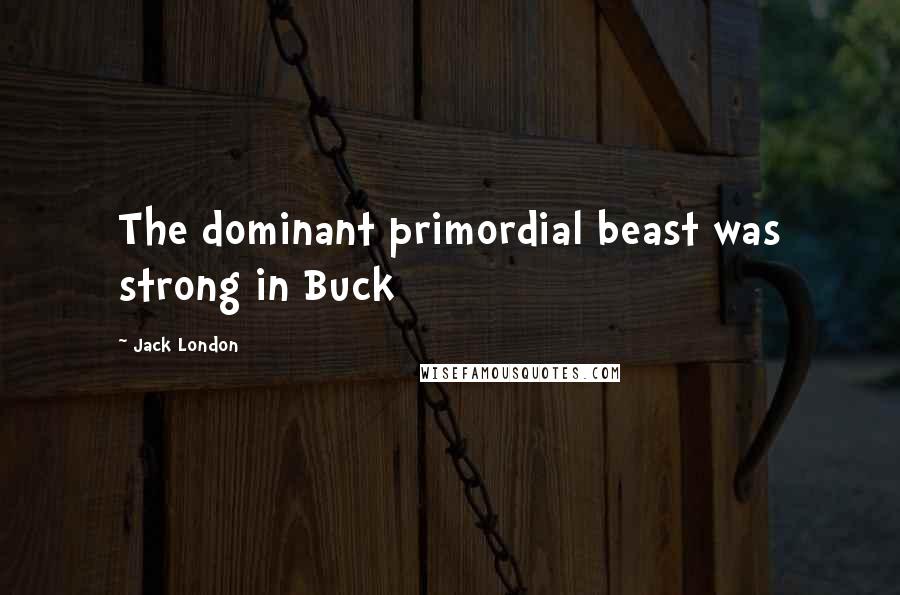 Jack London Quotes: The dominant primordial beast was strong in Buck