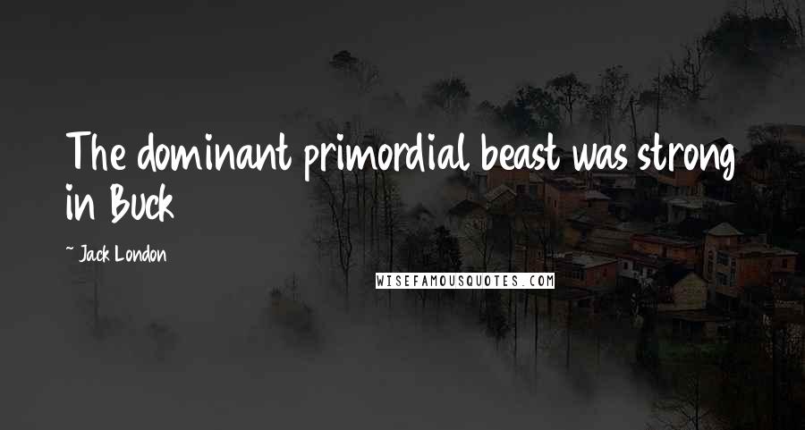 Jack London Quotes: The dominant primordial beast was strong in Buck