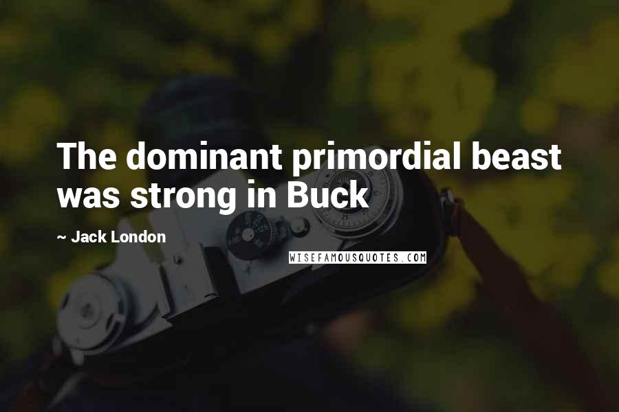 Jack London Quotes: The dominant primordial beast was strong in Buck