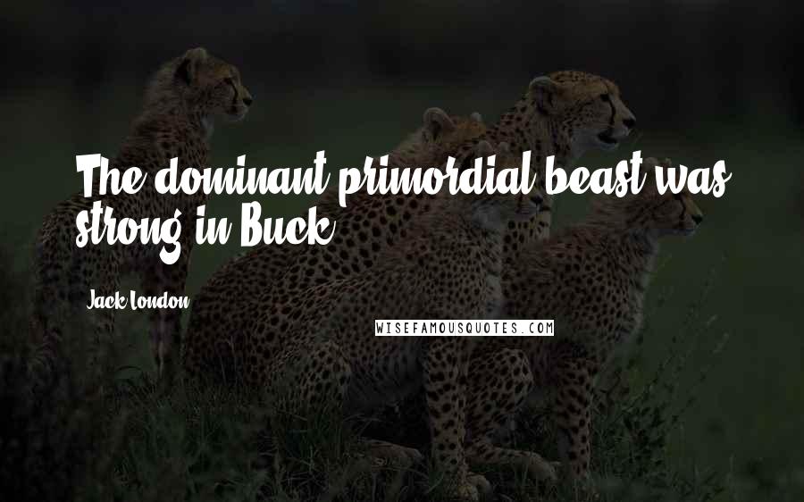 Jack London Quotes: The dominant primordial beast was strong in Buck