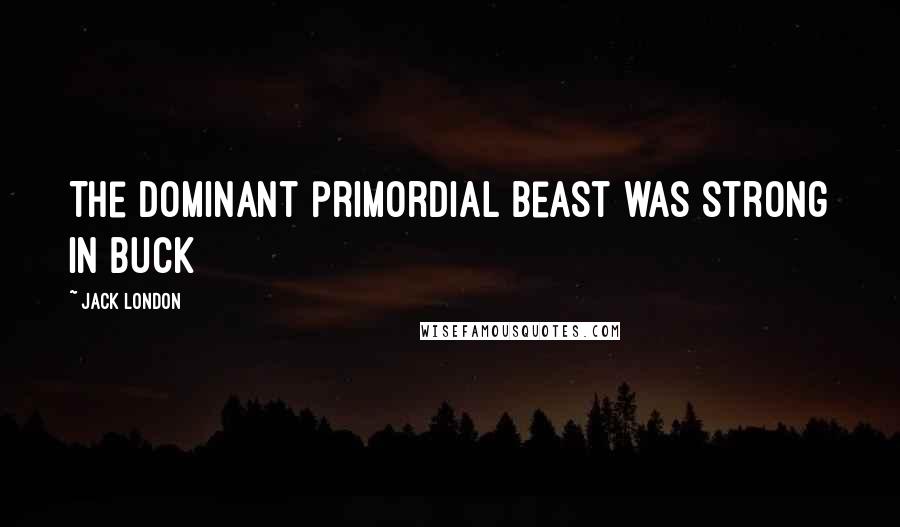 Jack London Quotes: The dominant primordial beast was strong in Buck