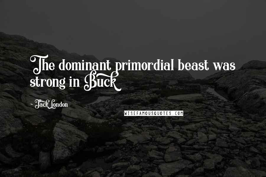 Jack London Quotes: The dominant primordial beast was strong in Buck