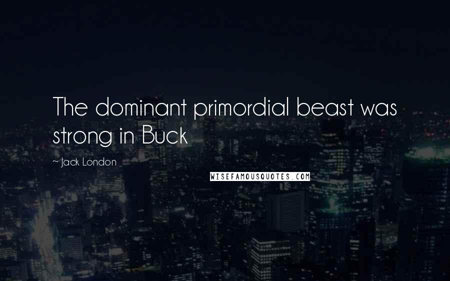 Jack London Quotes: The dominant primordial beast was strong in Buck