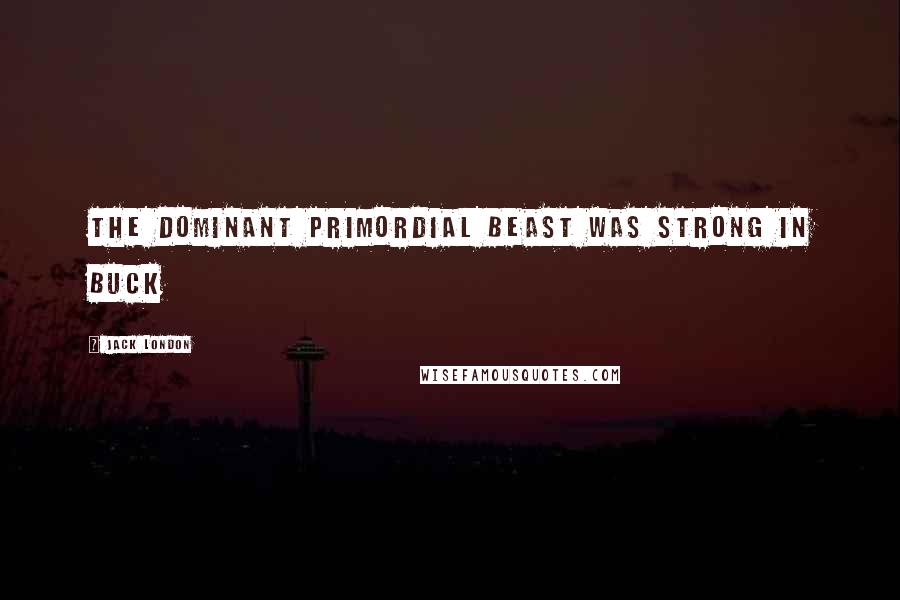 Jack London Quotes: The dominant primordial beast was strong in Buck