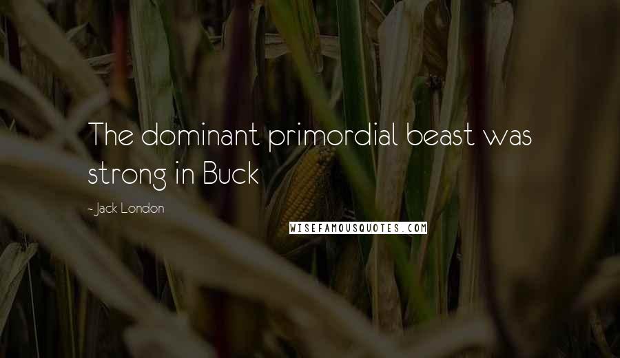 Jack London Quotes: The dominant primordial beast was strong in Buck