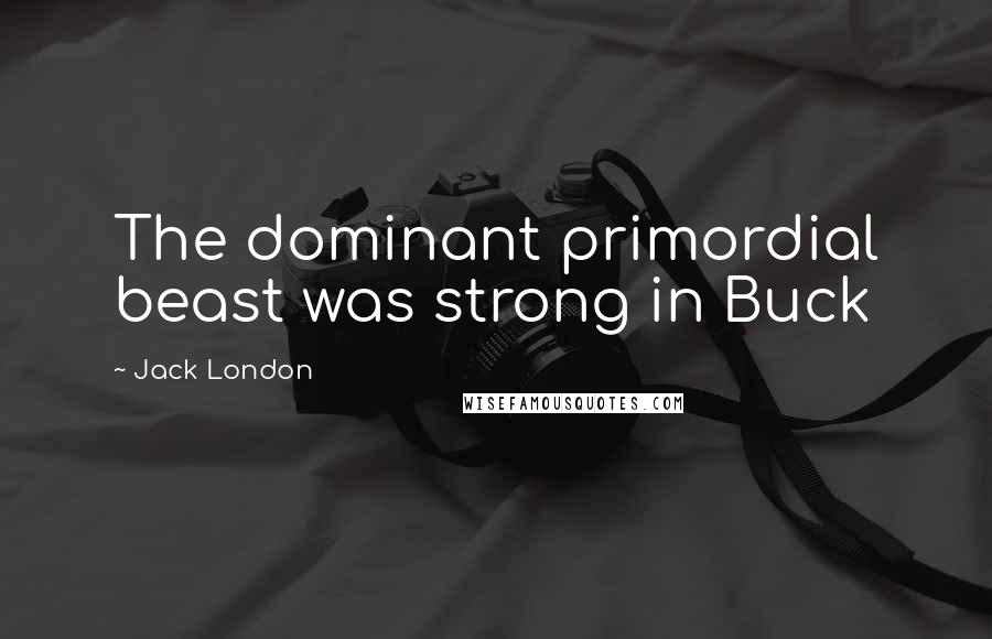 Jack London Quotes: The dominant primordial beast was strong in Buck