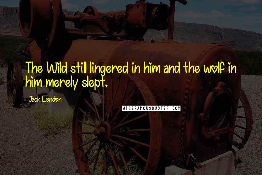 Jack London Quotes: The Wild still lingered in him and the wolf in him merely slept.
