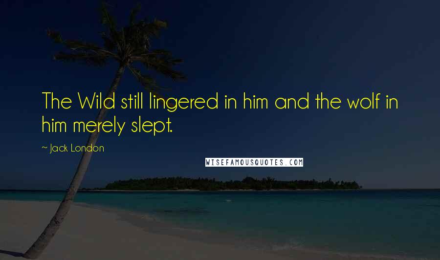 Jack London Quotes: The Wild still lingered in him and the wolf in him merely slept.