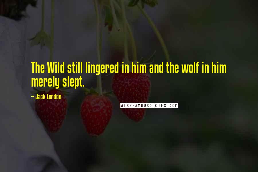 Jack London Quotes: The Wild still lingered in him and the wolf in him merely slept.