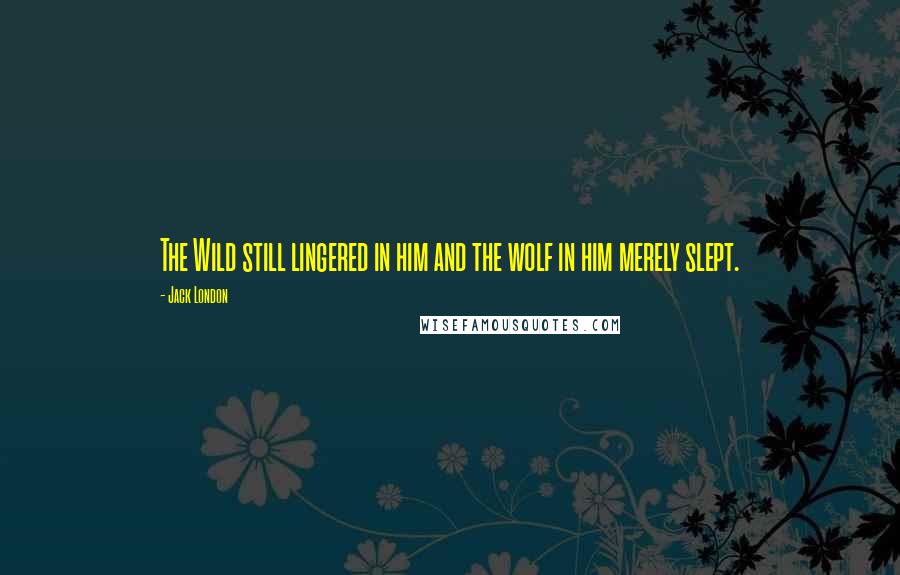 Jack London Quotes: The Wild still lingered in him and the wolf in him merely slept.