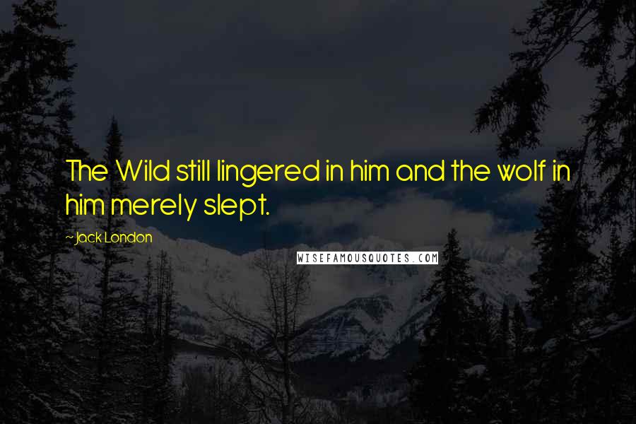 Jack London Quotes: The Wild still lingered in him and the wolf in him merely slept.