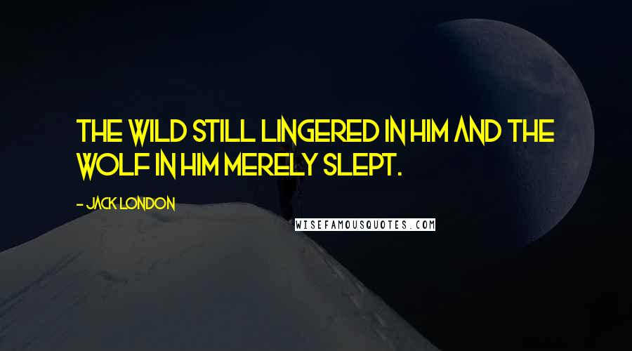 Jack London Quotes: The Wild still lingered in him and the wolf in him merely slept.